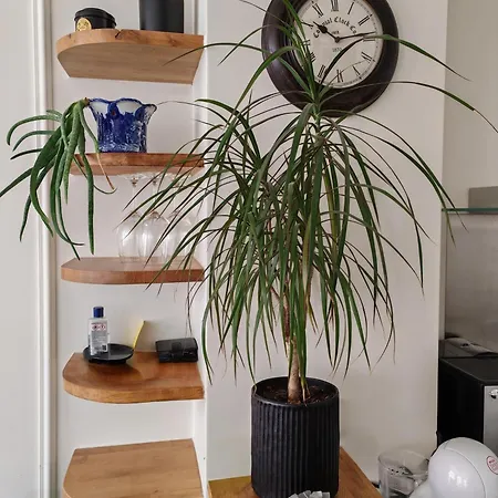 Elegant Duplex Lumineux Au Coeur De Lisbonne