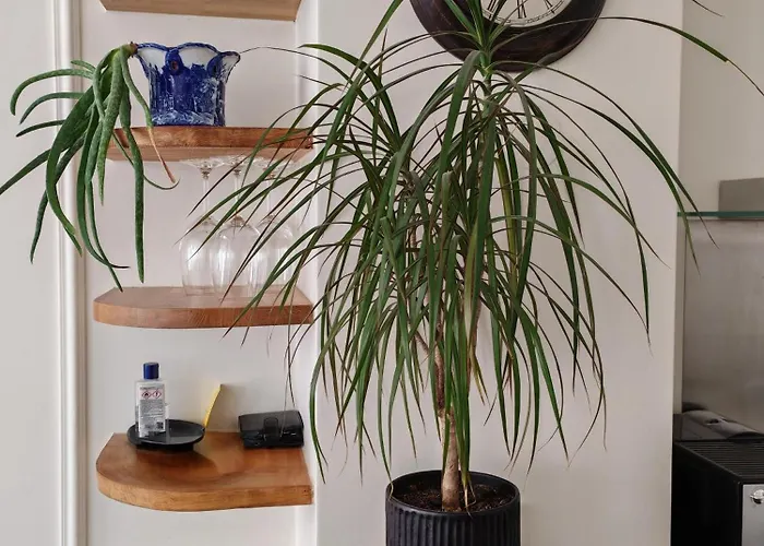 Elegant Duplex Lumineux Au Coeur De Lisbonne